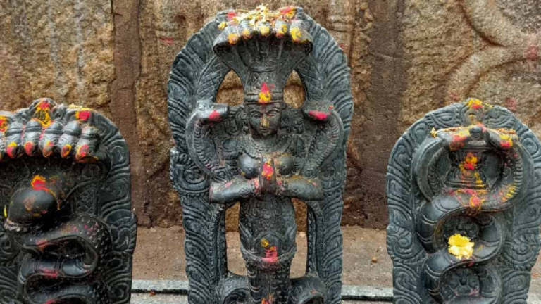 कालसर्प दोष पूजा: